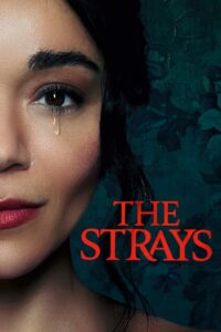 The Strays คนหลงทาง (2023) พากย์ไทย