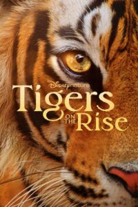 Tigers on the Rise (2024) ซับไทย