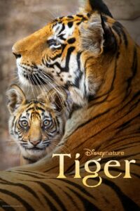 Tiger (2024) ซับไทย