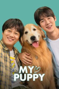 My Heart Puppy (2023) ซับไทย