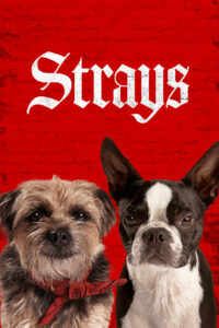 Strays ชีวิตหมาต้องไม่หมา (2023) ซับไทย